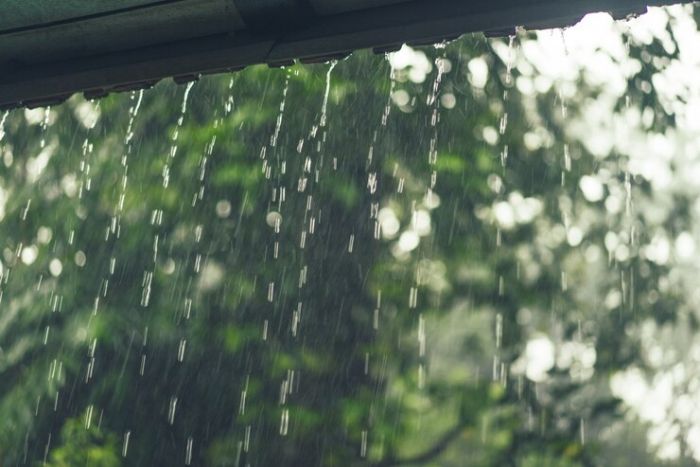 10 Tips untuk Tetap Nyaman dan Aman di Musim Hujan