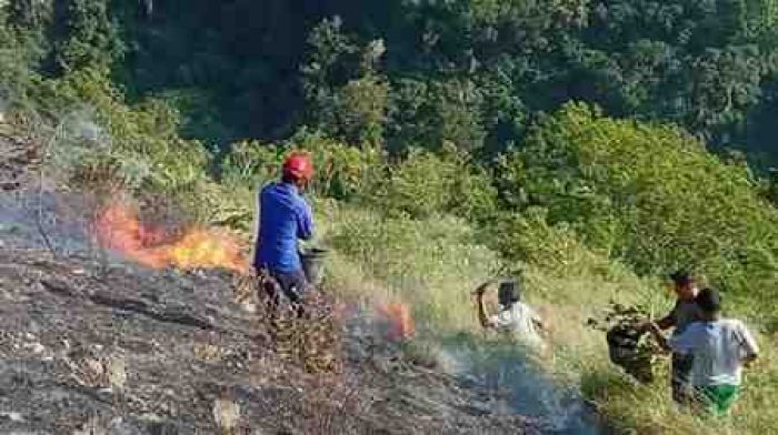 34 Karhutla Terjadi di Aceh Besar, 38,88 Hektare Lahan Terbakar Sepanjang Juli-Agustus
