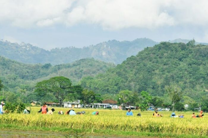 Ancaman Karst Gunung Sewu: Para Ahli Desak Pemerintah Membatalkan Pabrik Semen di Pracimantoro Wonogiri