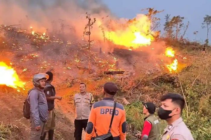 Bencana Karhutla Juli-Agustus 2026, Kemendagri Harus Alokasikan Dana Khusus Perkuatan Armada Damkar Daerah Rawan
