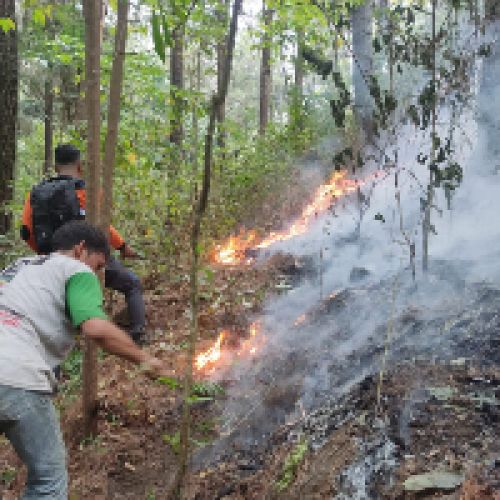 Cegah Karhutla Terjadi Lagi di Jawa Barat, FK3I JABAR Minta KLHK Lakukan Pengawasan Lebih Ketat 