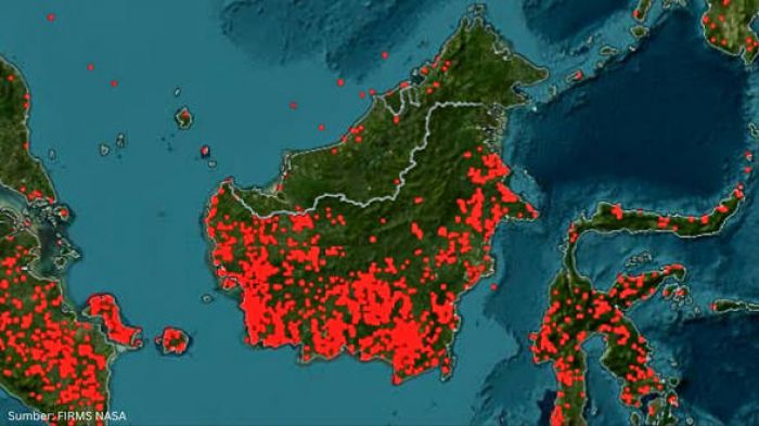 Citra NASA: Kalimantan Tertutup Asap Tebal Akibat Karhutla