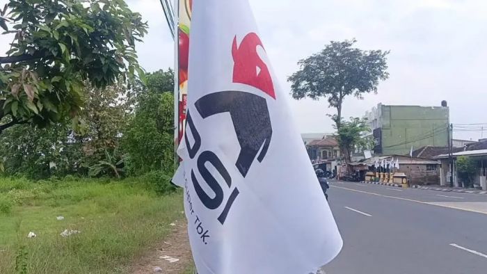 Dani Saptoni, Solo Societeit: Pilihan Hewan Gajah untuk Logo, Simpan Sejumlah Titik Kerentanan