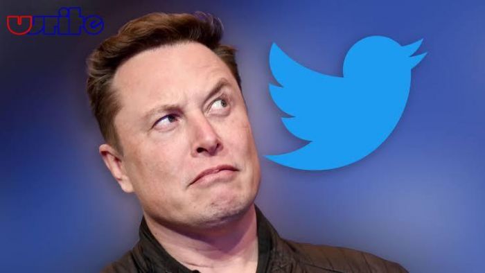Dikira Twitter Down Tenyata Elon Musk Sedang Berulah Membuat Aturan Baru