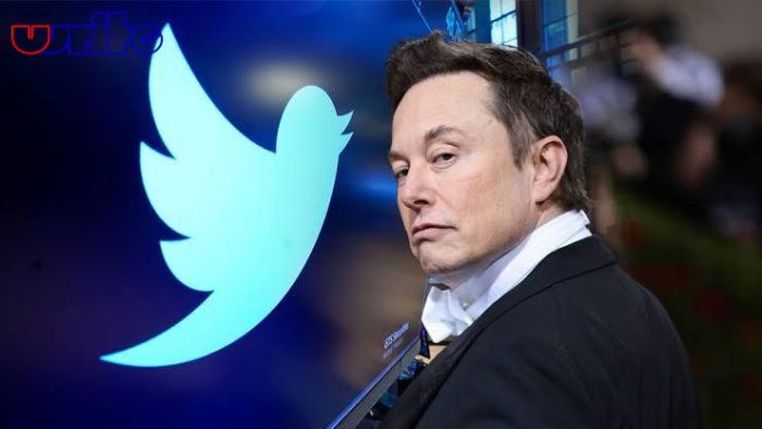 Elon Musk Buat Aturan Baru: Akses Tweet Pengguna Twitter Gratisan Dibatasi
