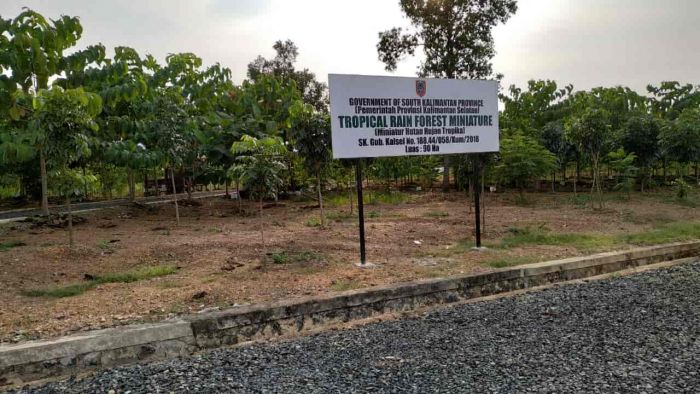 Forest City Kalimantan Selatan Embrio Ibu Kota Nusantara