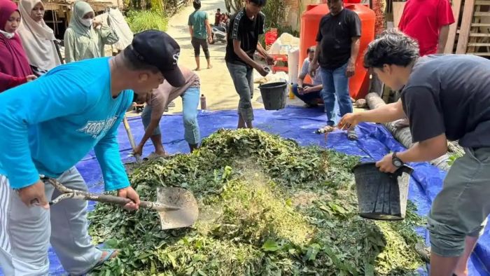 Implementasi Tridharma, Dosen Unasman Berdayakan Petani Majene Lewat Pakan Fermentasi dan Pupuk Organik