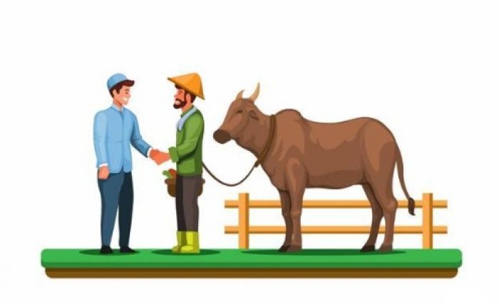 Ini Persiapan yang Harus Dilakukan Sebelum Ibadah Qurban