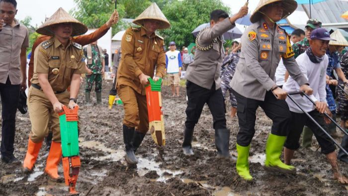 Jeneponto Perkuat Ketahanan Pangan dengan Penanaman Jagung