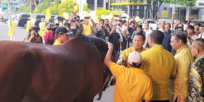 Ketum Partai Gerindra, Prabowo Subianto, Dapat Hadiah Kuda Istimewa dari Partai Golkar