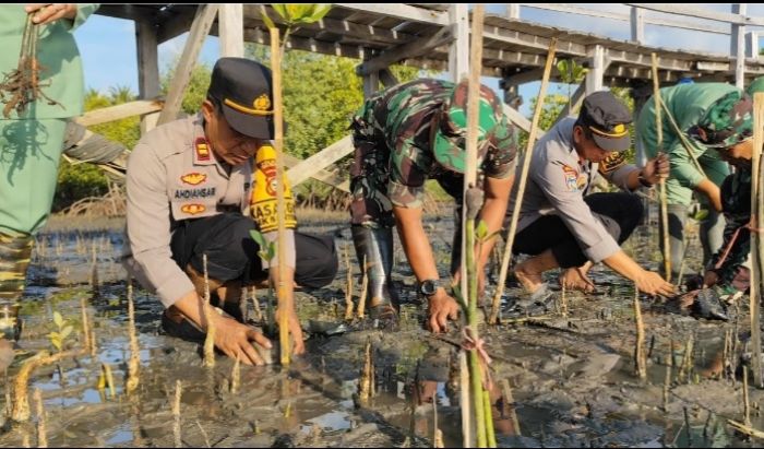 Kodim Selayar Lestarikan Pesisir dengan 2.000 Mangrove