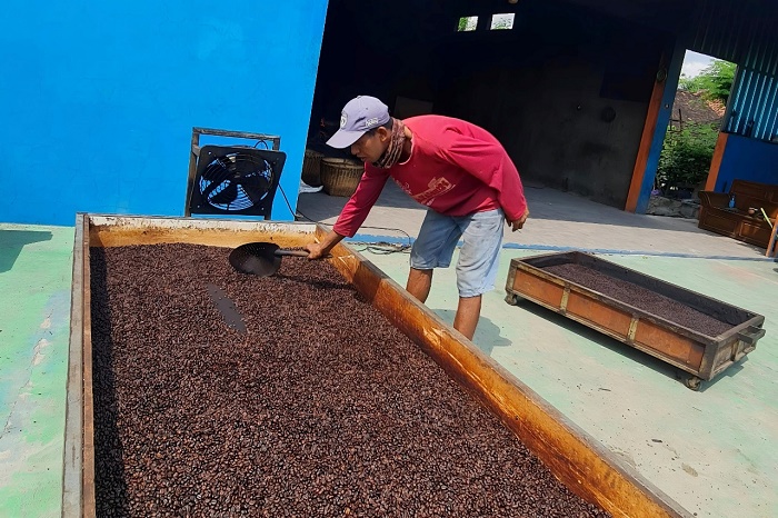 Kopi Lelet Pandawa Rembang Tembus Pasar Nasional Berkat Pendampingan Rumah BUMN SIG