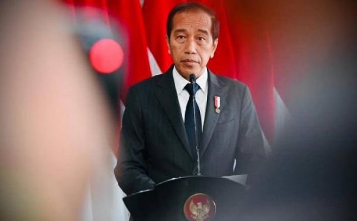 Kunjungan Kerja Jokowi ke Afrika Bawa Hasil Positif bagi RI