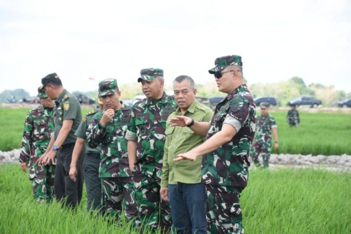 Kunker Ke  Sawah Sejaro Sakti, Danrem Gapo Terkejut Lihat Tanaman Padi