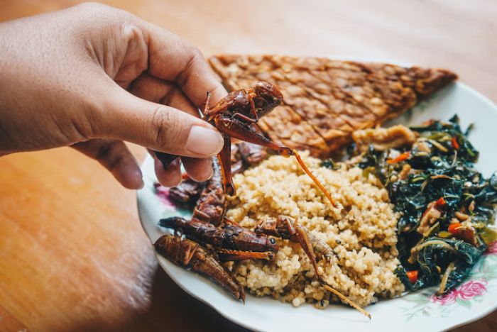 Mengulik Manfaat Nasi Thiwul: Alternatif Sehat Pengganti Nasi dengan Kandungan Gizi Tinggi