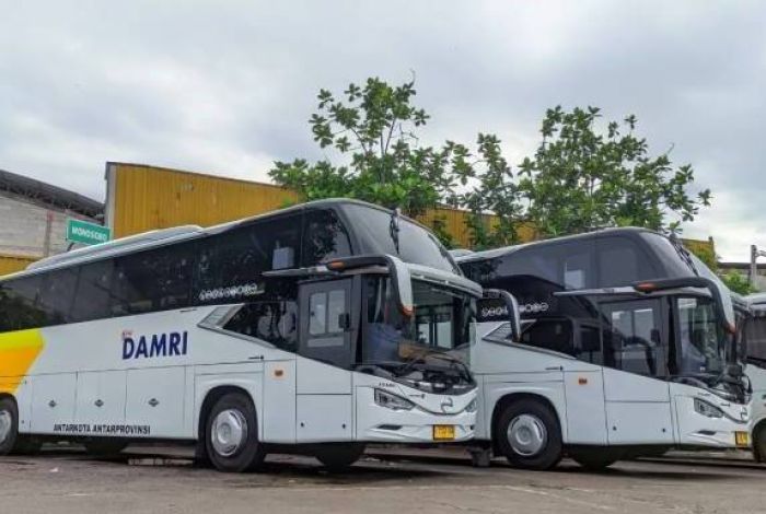 Mulai 15 Juni, DAMRI Beri Diskon Tiket Bus AKAP Rp50 Ribu