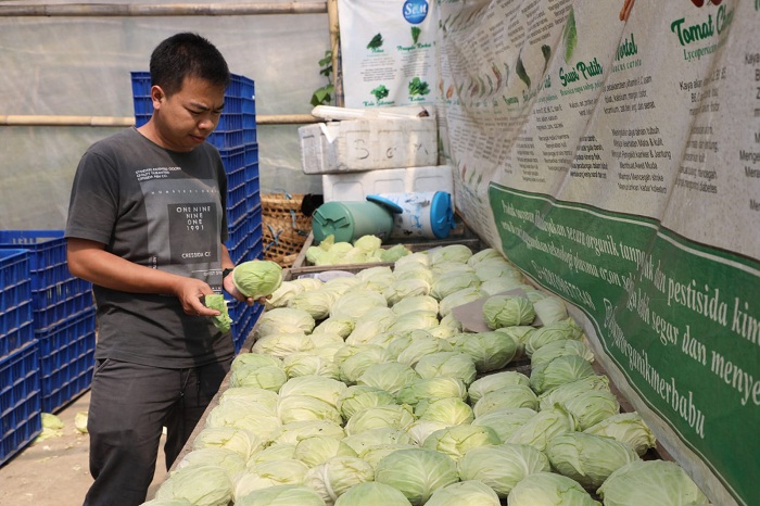 Pemprov Jateng Dukung Regenerasi Petani Muda melalui Program Zilenial Jateng