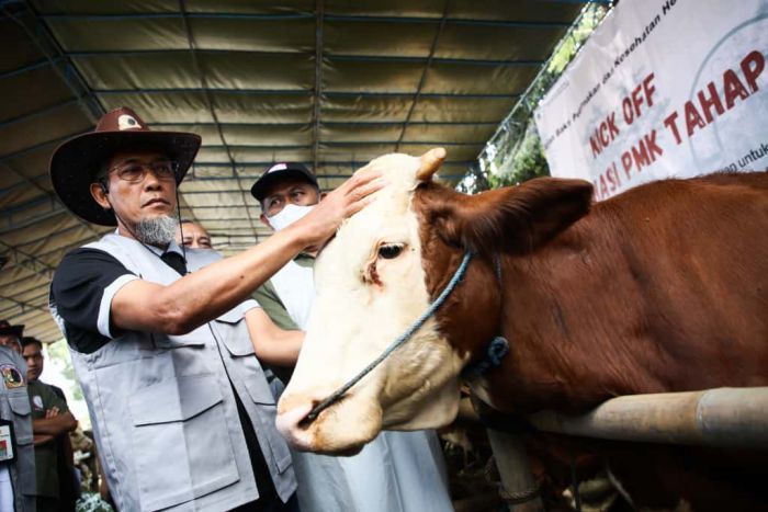 Pemprov Jateng Targetkan Satu Juta Vaksinasi PMK Guna Wujudkan Swasembada Daging