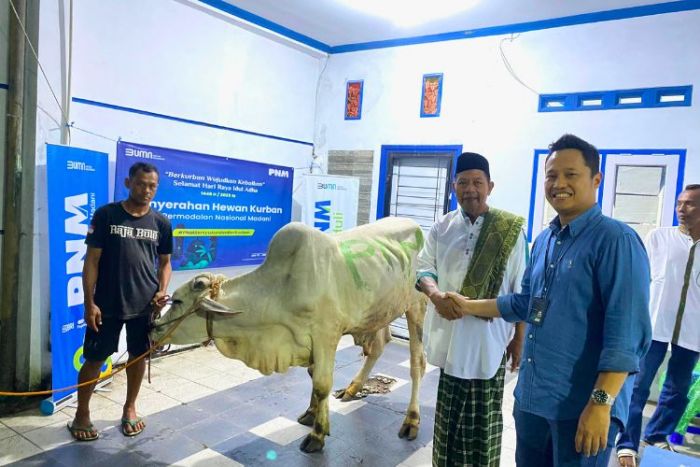 PNM Salurkan Sedekah Kurban di 26 Titik, Prioritaskan Wilayah Minim Donatur