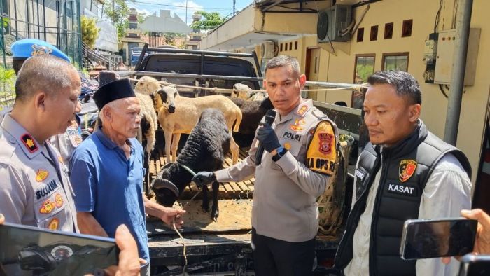 Polres Ciamis Bekuk Komplotan Pencuri Domba, Dua Jadi DPO