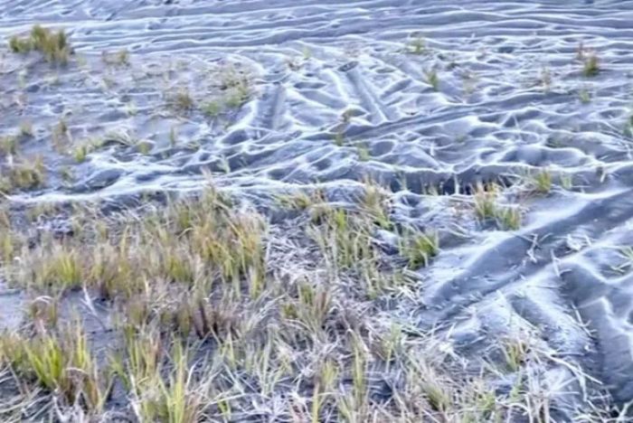 Salju di Gunung Bromo Saat Cuaca Dingin: Embun Upas Menggoda