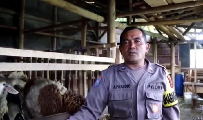 Sosok Bhabinkamtibmas Aiptu Agus Prasojo yang Wujudkan Dedikasi & Ketahanan Pangan 