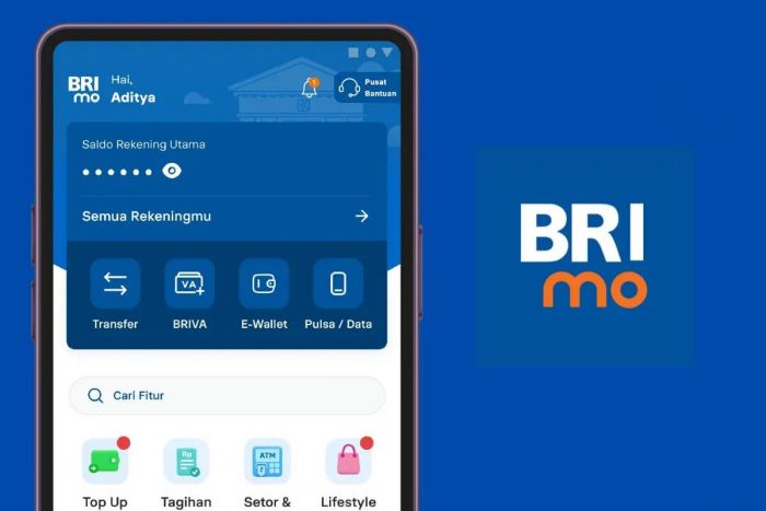 Ternyata Ini Penyebab Saldo BRI Tertahan di BRImo dan Cara Mengatasinya