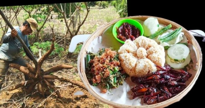 Thiwul: Makanan Tradisional Kaya Manfaat yang Mulai Tersisih