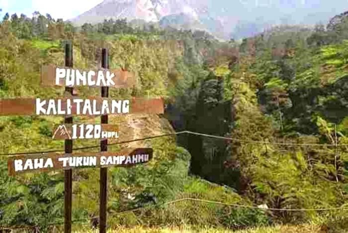 Tujuh Bulan Berlalu Sejak Dua Pendaki Hilang di Kalitalang, BTNGM Didesak Segera Tutup Total Akses Ilegal Lereng Merapi