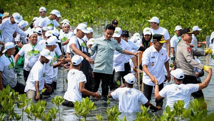 Wapres Gibran Tegaskan Komitmen Rehabilitasi Mangrove: Menjaga Pesisir, Menyelamatkan Masa Depan