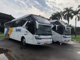 Banyak Hari Libur di Bulan Juni, DAMRI Obral Diskon Tiket
