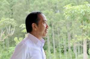 Di Balik Tur Safari Roadshow Joko Widodo Keliling Indonesia 2026
