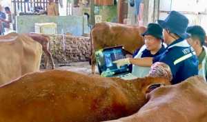 Dukung Ketahanan Pangan, Pemprov Jateng Hadirkan Layanan Kesehatan Ternak Gratis