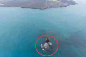 Gunung Anak Krakatau: Dari Letusan 1883 yang Mengguncang Dunia Hingga Kehadiran Daratan Baru