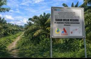 Masyarakat Tuntut Transparansi Agrinas Kelola Lahan Eks Sitaan Satgas PKH di Rohul