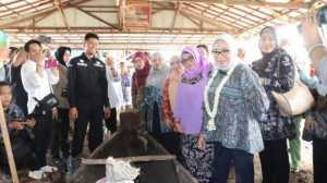 Menteri PPPA Kawal Kasus Balita Tewas Dianiaya Ibu Tiri Bekasi