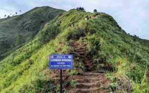 Panduan Jalur Pendakian Gunung Andong Magelang Terlengkap