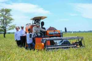 Presiden Prabowo Optimis Cadangan Pangan Indonesia Saat Ini Terbesar Sepanjang Sejarah dan di Tengah Konflik Dunia