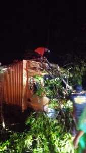 Satgas BPBD Evakuasi Pohon Tumbang 